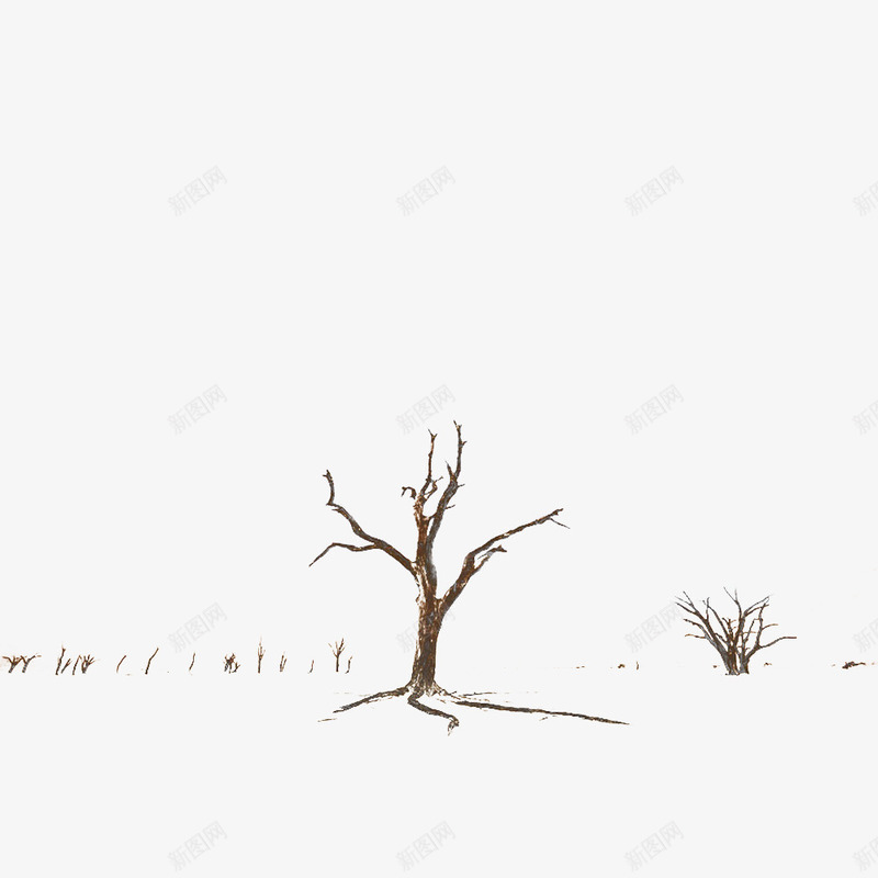 深秋的枯树png免抠素材_新图网 https://ixintu.com 冬天素材 沙漠上植物 灌木 自然景观 褐色