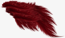 红翼装饰素材