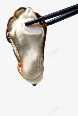 海蛎子产品实物生鲜生蚝高清图片