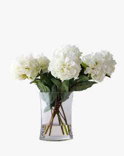 花瓶图白色绣球花插花高清图片