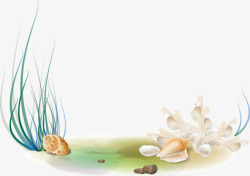 海里的草和贝壳素材