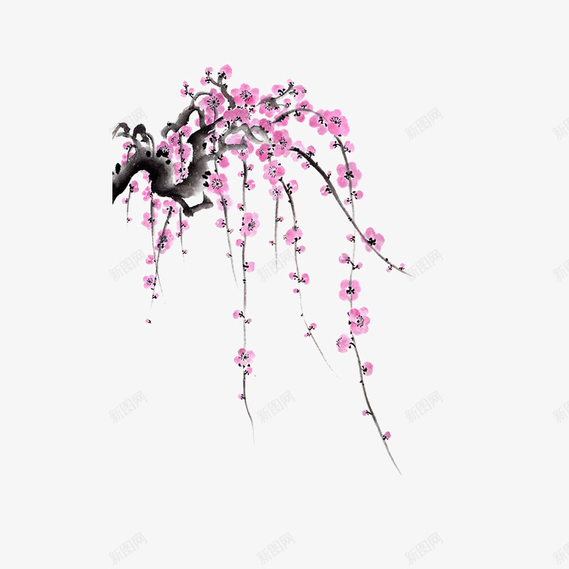 手绘樱花png免抠素材_新图网 https://ixintu.com png 手绘 樱花 素材 花朵