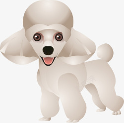 白色贵宾犬卡通高清图片
