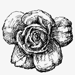 黑白花卉装饰玫瑰花矢量图素材