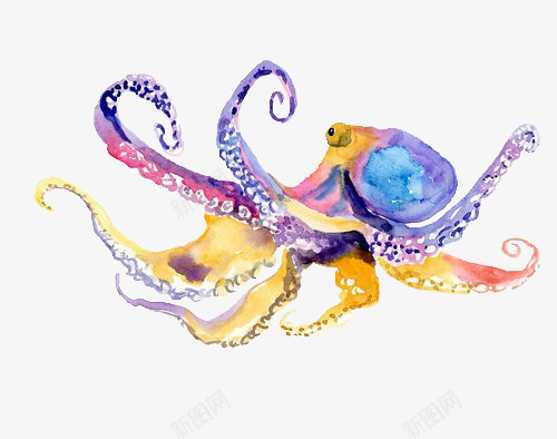创意章鱼png免抠素材_新图网 https://ixintu.com 儿童绘画 水彩 涂鸦 章鱼