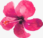 手绘涂鸦红色花朵素材