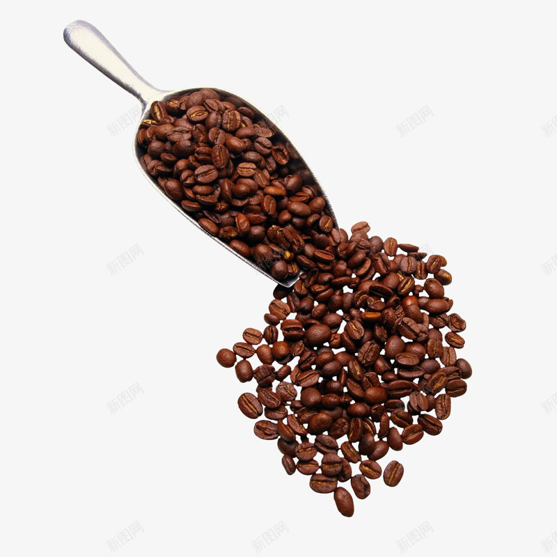 散落咖啡豆png免抠素材_新图网 https://ixintu.com 五谷杂粮 健康 品味生活 粮食 褐色