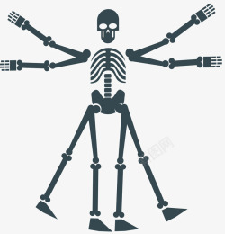手绘肋骨人体骨骼矢量图高清图片