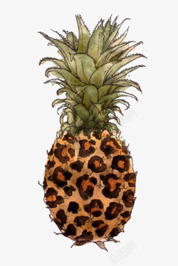 卡通豹纹菠萝素材