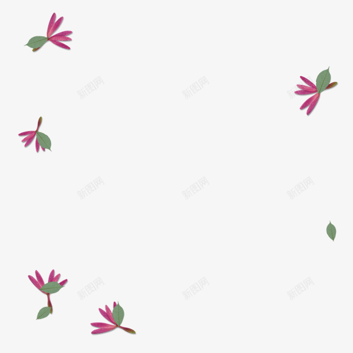 花瓣漂浮物png免抠素材_新图网 https://ixintu.com ps动态素材 动态漂浮物素材 彩色 漂浮气泡 漂浮物 红色漂浮 花瓣元素 花瓣漂浮物