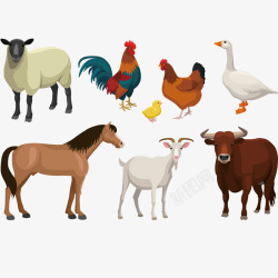 农场动物的插图素材
