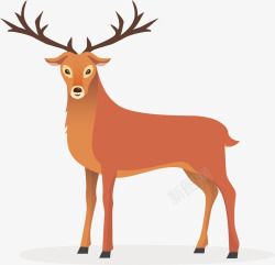 冬天麋鹿邮票森林里冬天的驯鹿矢量图高清图片