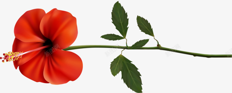 一朵大红花png免抠素材_新图网 https://ixintu.com 植物 红色 花朵 装饰