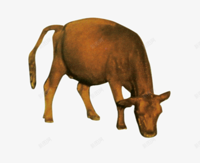 草原上的牛png免抠素材_新图网 https://ixintu.com 动物 家畜 牛 生物