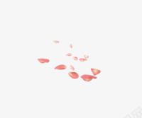 粉色花瓣透明装修png免抠素材_新图网 https://ixintu.com 粉色 花瓣 装修 透明