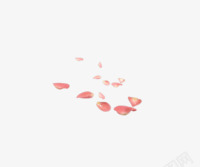 粉色花瓣透明装修素材