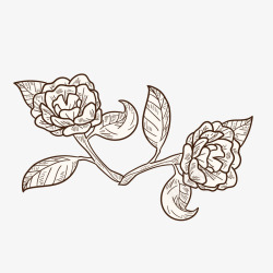 手绘素描玫瑰矢量图素材