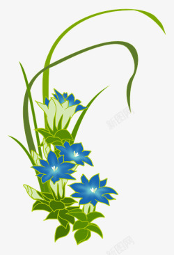 龙胆根手绘可爱的蓝色龙胆花手绘高清图片