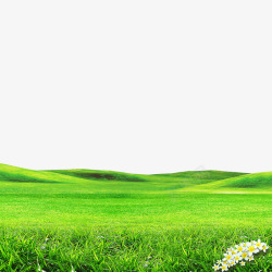 唯美环境绿色草地高清图片