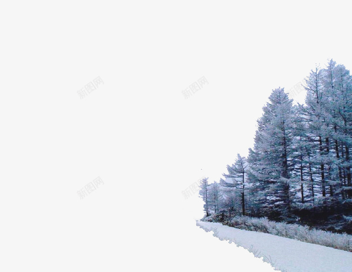 冬天里的一排树png免抠素材_新图网 https://ixintu.com 冬天里的树 实景 实物 雪 雪景