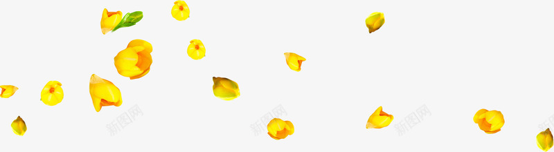 黄色唯美简约花朵装饰png免抠素材_新图网 https://ixintu.com 简约 花朵 装饰 黄色