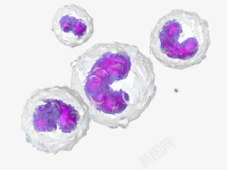细胞科学形象图示素材