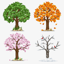 秋冬树木的春夏秋冬高清图片