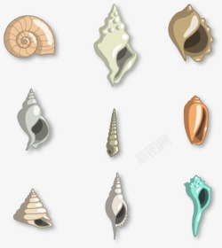 9款彩色海螺和贝壳素材