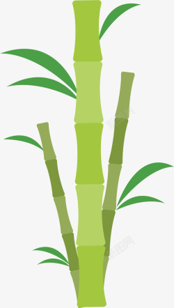 天然竹子绿色美容会馆竹子高清图片