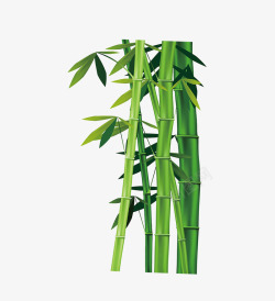 h5素材企业办公绿色的竹子高清图片