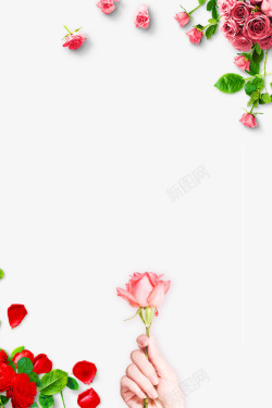 妇女节主题背景38妇女节主题玫瑰创意边框高清图片