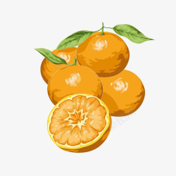 一堆柑橘手绘色彩稿素材