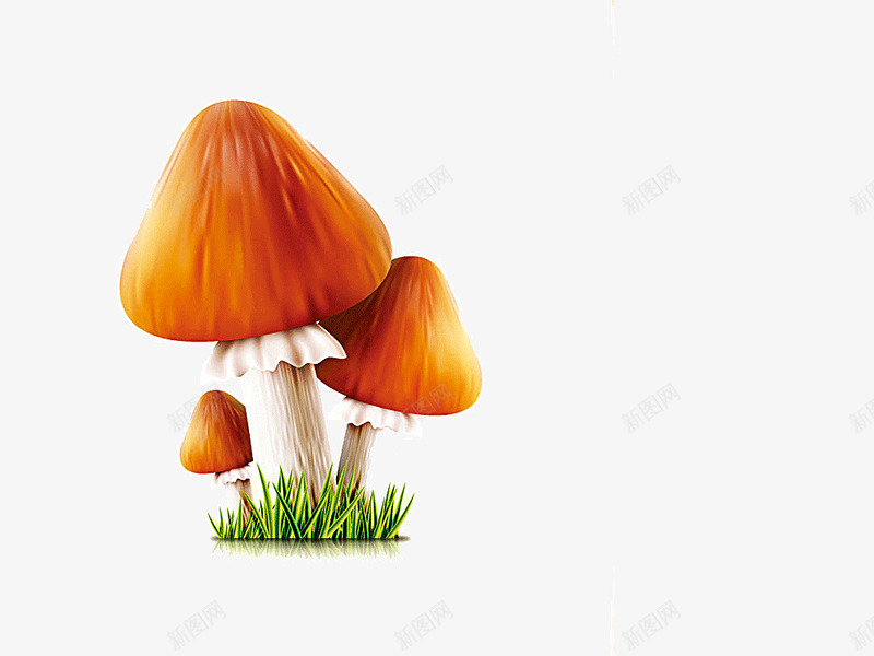 长在草地上的蘑菇png免抠素材_新图网 https://ixintu.com 小草 彩色蘑菇 草地 蘑菇