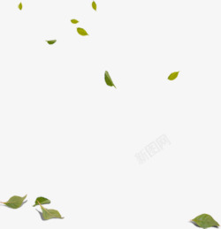 绿色漂浮树叶随意素材