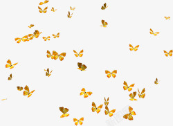一群黄色鸡仔一群飞舞的黄色蝴蝶高清图片