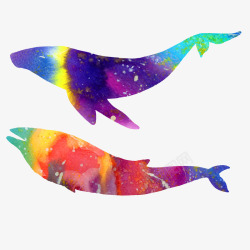 两头彩色鲸鱼素材
