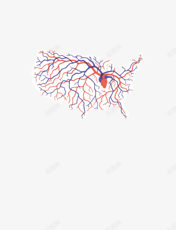 美国png免抠素材_新图网 https://ixintu.com 心脏 美国线路 脉络 脉络图