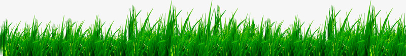 绿色草地植物装饰卡通png免抠素材_新图网 https://ixintu.com 卡通 植物 绿色 草地 装饰