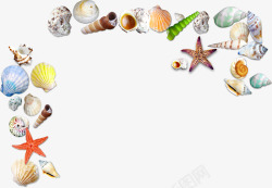 海螺海星贝壳装饰素材
