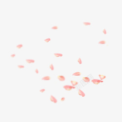 粉红花瓣漂浮素材