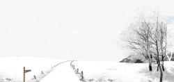 白色小路冬季雪景高清图片