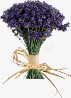 枯草捆绑紫色仿真花花束素材