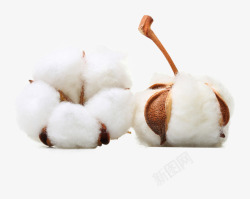 棉花衣物原料素材