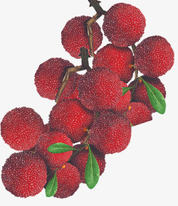 杨梅横切免费下载新鲜唯美精美水果杨梅树叶天然高清图片