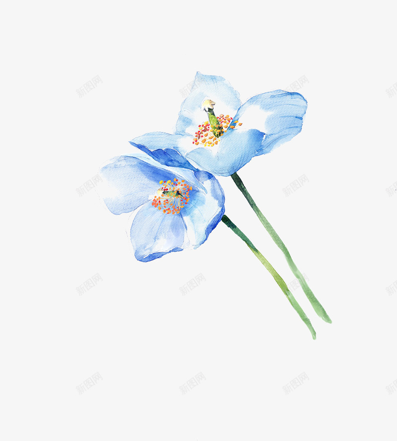 蓝色淡雅花朵植物png免抠素材_新图网 https://ixintu.com 植物 淡雅 花朵 蓝色