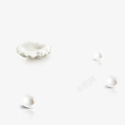 珍珠白色珍珠贝壳素材