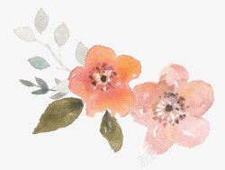 手绘涂鸦植物花朵素材