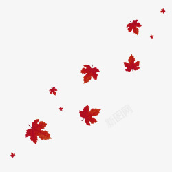 红枫的叶子漂浮枫叶高清图片