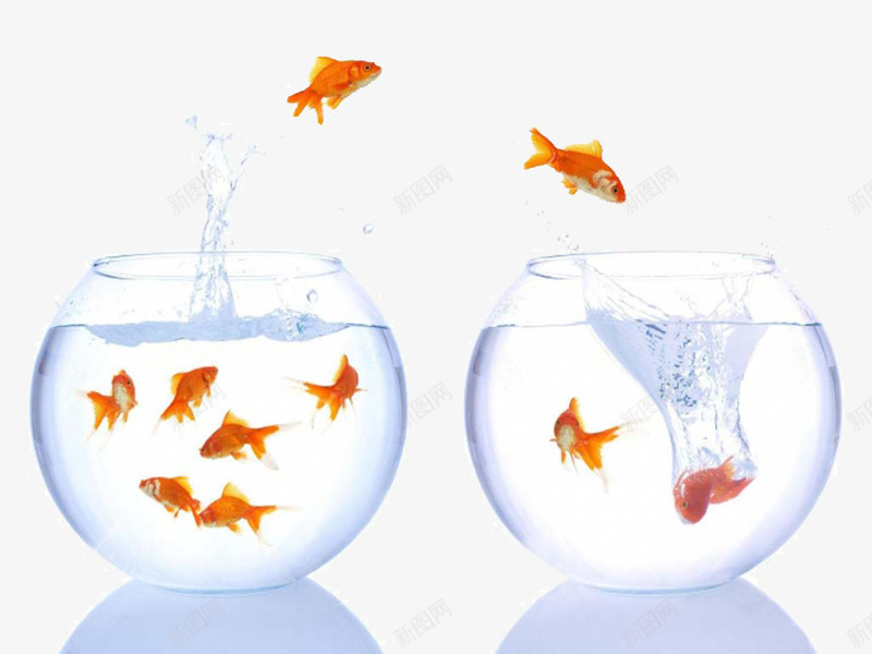 装饰图案鱼在鱼缸之间跳跃png免抠素材_新图网 https://ixintu.com 水波 装饰图案 跳跃 鱼 鱼缸