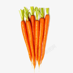 新鲜胡萝卜新鲜美味的长胡萝卜高清图片
